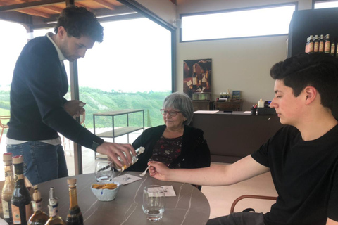 De Florence: visite de l'usine de parmesan et de vinaigre balsamique