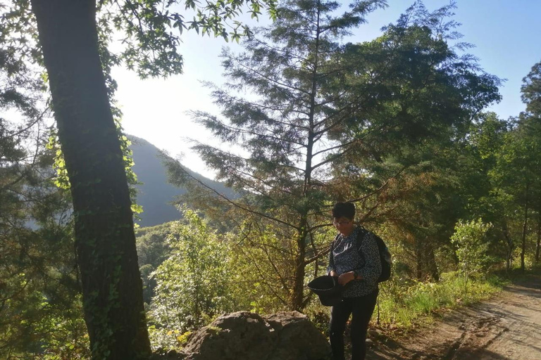 "Chipinque" Hiking tour, with guide, transfer and tickets Monterrey: Chipinque Ecological park, route guide