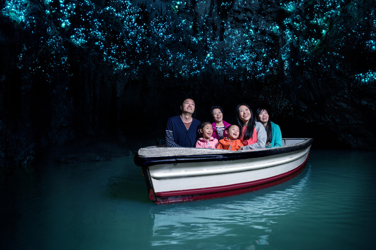 Vanuit Auckland: Waitomo glimworm en Ruakuri grotten dagtour