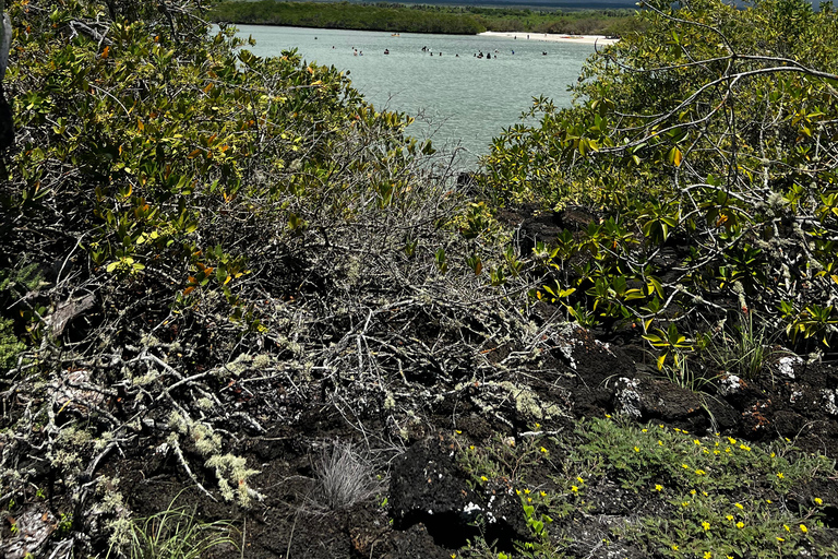Galápagos: Sightseeing Tour to Tortuga Bay with Crystal-Clear Waters and Kayak