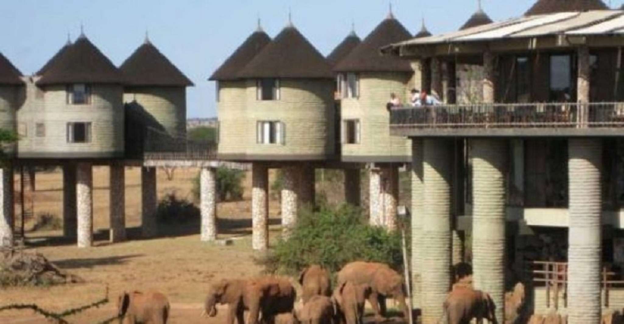 7 Giorni 6 Kenya lala salama safari. - Hizvo
