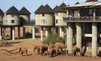 7 Giorni 6 Kenya lala salama safari. - Hizvo