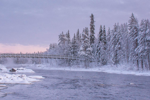 Schneeschuh-Erlebnis mit traditionellen Getränken in Lappland