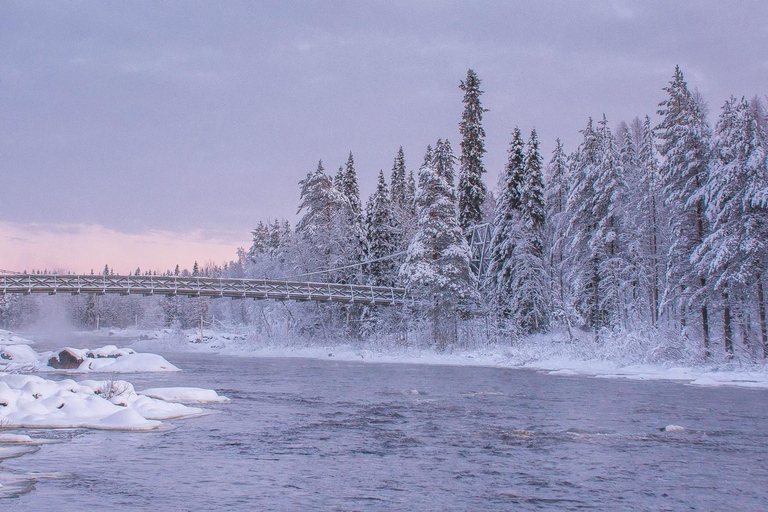 Sneeuwschoen ervaring met traditionele dranken in Lapland