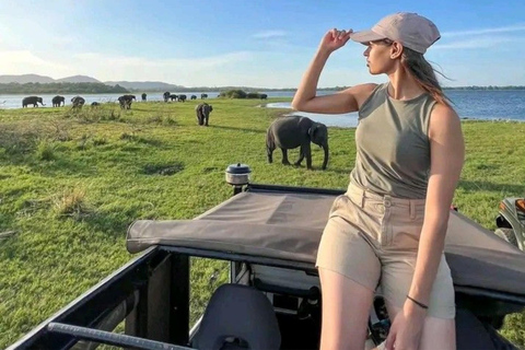 Hambantota Port: Yala Leopard Tracking Safari (Shared) Hambantota Port: Yala Leopard Tracking Safari (Private)