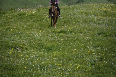 Dublin Mountains: Scenic Guided Horseback Ride 2-hr Dublin Mountains: Scenic Guided Horseback Ride