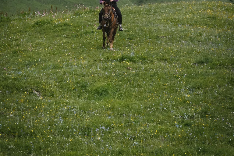 Dublin Mountains: Scenic Guided Horseback Ride 2-hr Dublin Mountains: Scenic Guided Horseback Ride