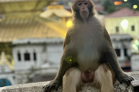 Kathmandu: Golden Hour at Pashupatinath Temple