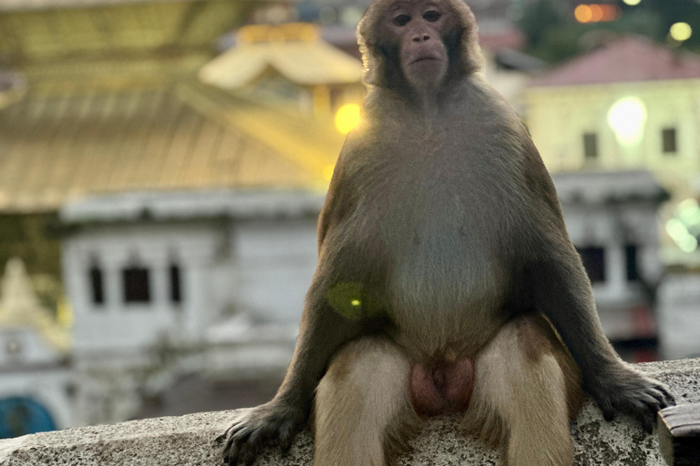 Kathmandu: Golden Hour at Pashupatinath Temple