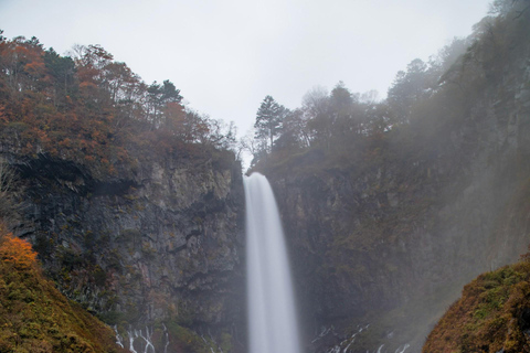 L&#039;aventure d&#039;élite de Nikko : Visite guidée privée