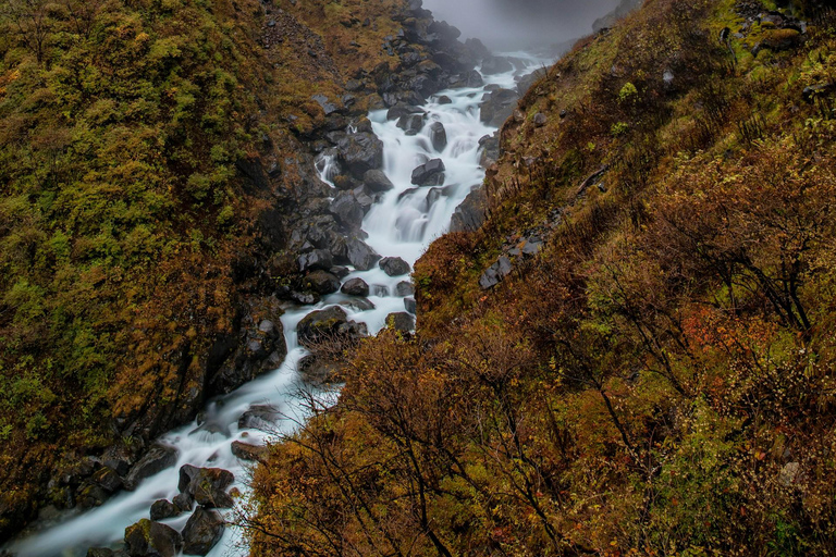 Nikko's Elite Adventure: Private guided Tour