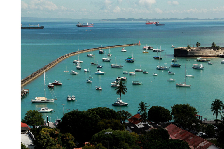 Salvador Evenings: Music, Culture &amp; Dining Experience