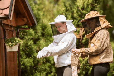 De Ljubljana : Tout sur les abeilles