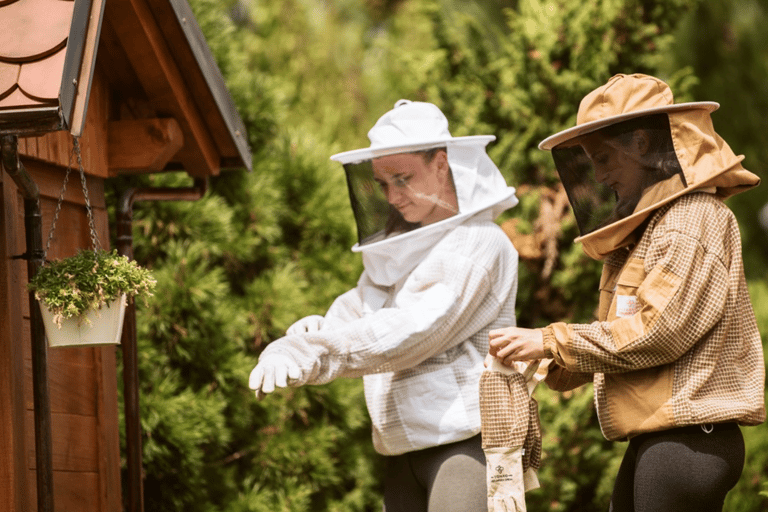 Aus Ljubljana: Alles über Bienen