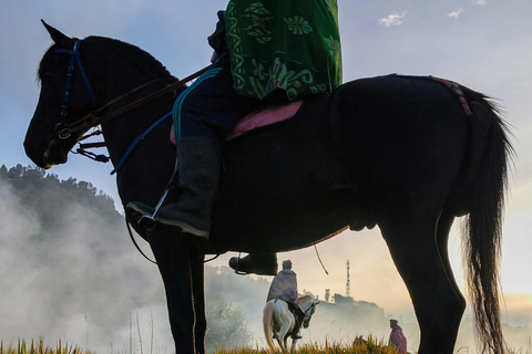 Costa Brava: Baix Ter Horseback Riding Tour