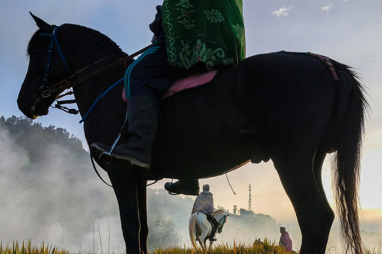 Costa Brava: Baix Ter Horseback Riding Tour