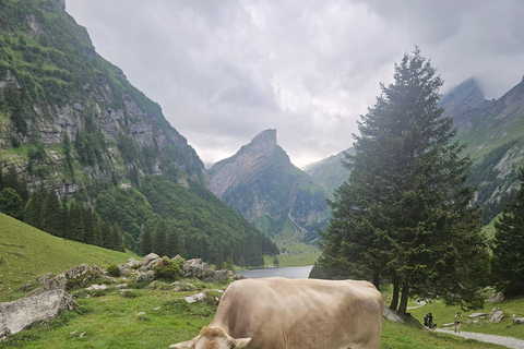 Zürich:Interlaken Grindelwald,Lauterbrunnen (optie privé)