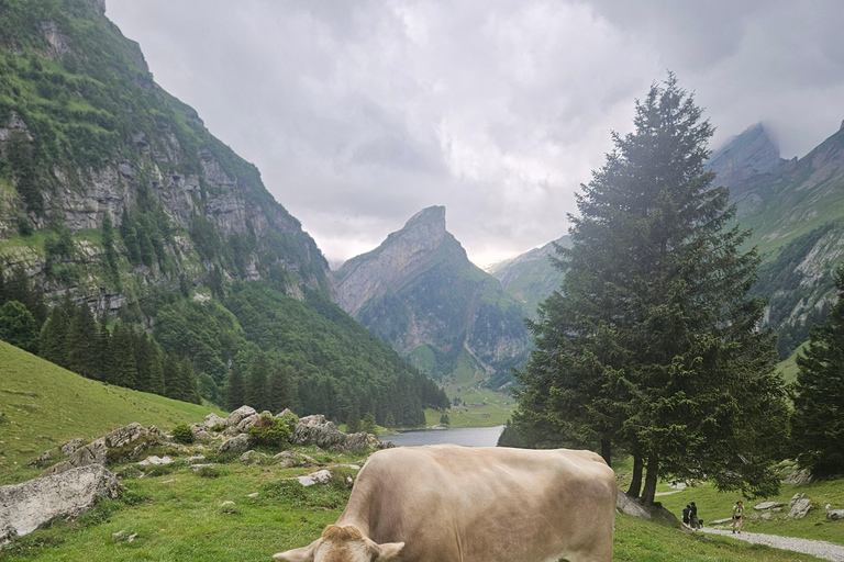 Zurich:Interlaken Grindelwald,Lauterbrunnen (Option Privé)