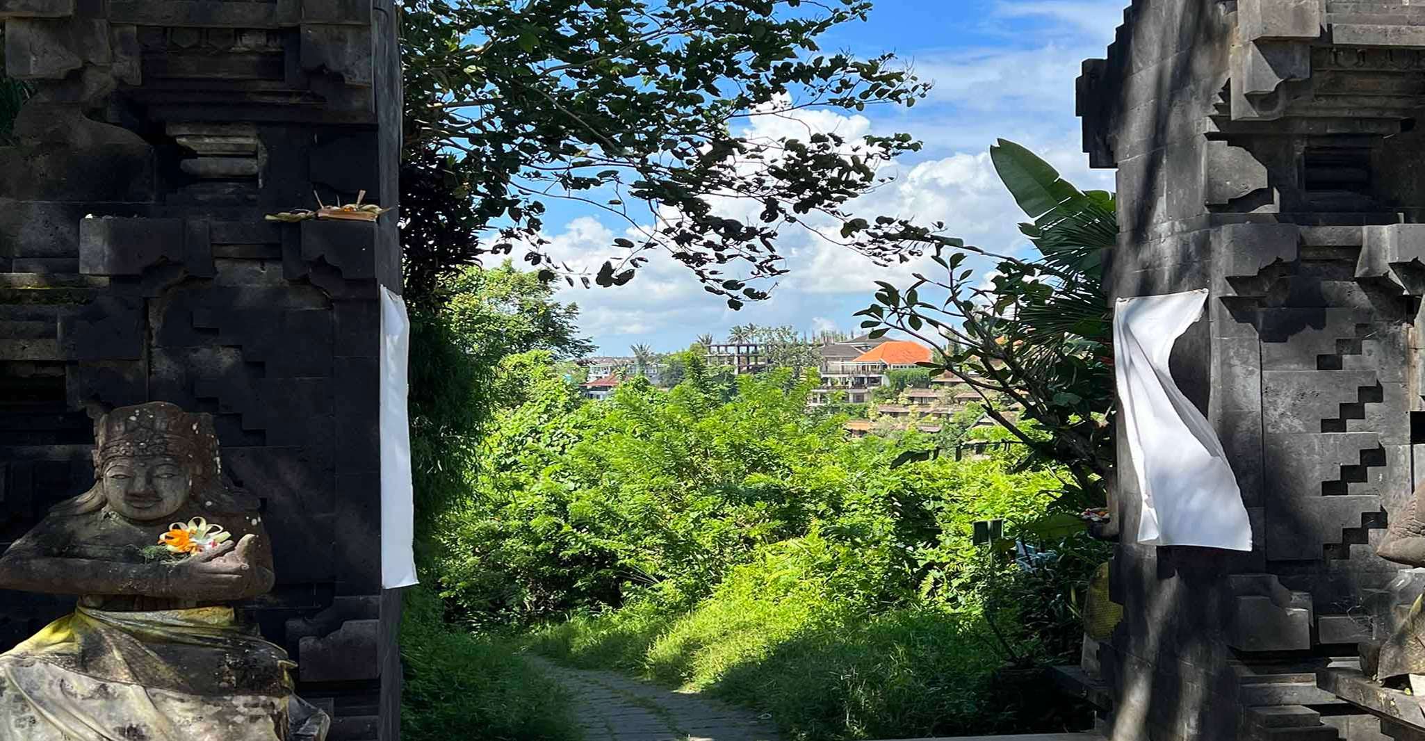 Passeggiata Campuhan Ridge di Ubud, un tour audio autoguidato - Hizvo
