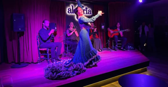 Flamenco show + 6 wine tastings with food pairing at the Port of Málaga