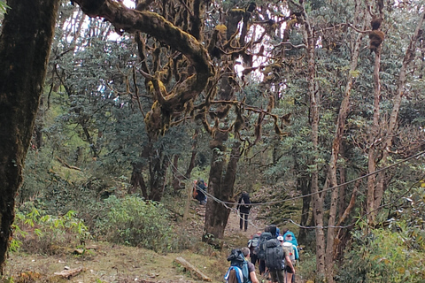 Escursione di 2 giorni a Poon Hill: cattura la migliore alba del Nepal