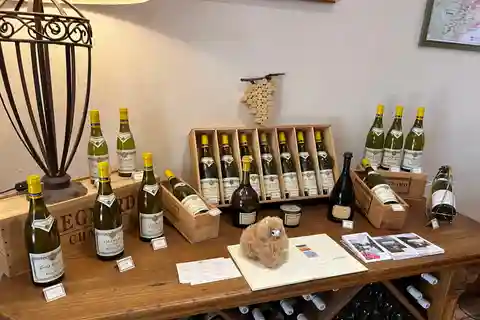 Privat omvisning til fots og smaksprøver i Bordeaux