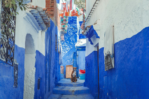 Från Marrakech : 7 dagars utforskning till Tanger via Merzouga sanddyner