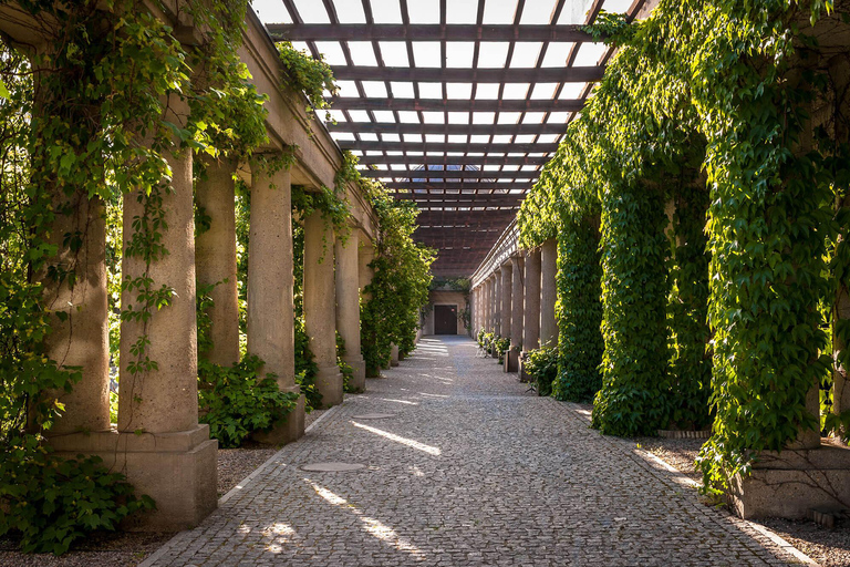 From Kraków: Private Tour to Wrocław with a personal driver