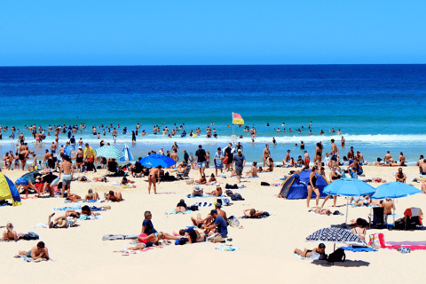 Tour privati: Tour di un giorno intero della città di Sydney e tour panoramico