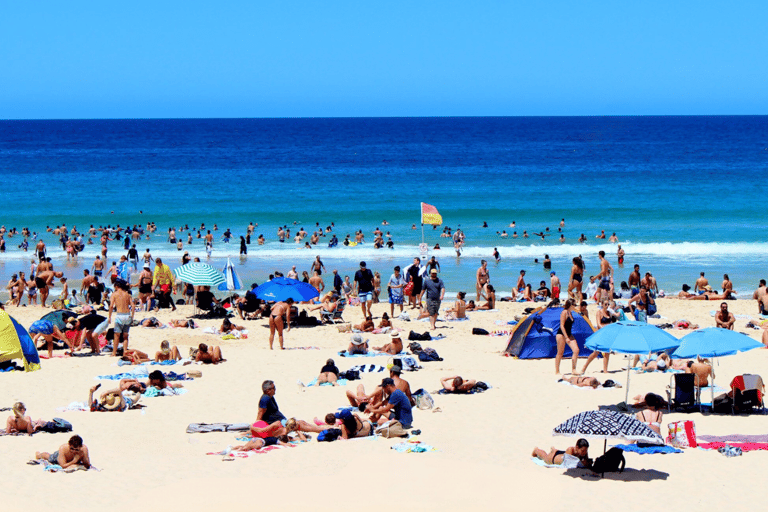 Tour privati: Tour di un giorno intero della città di Sydney e tour panoramico