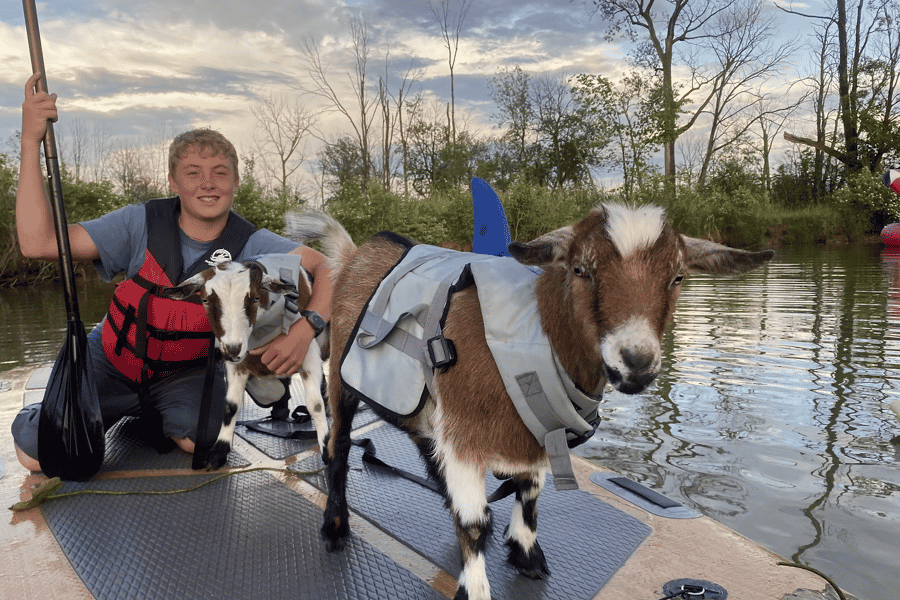 Port Clinton: Paddleboarding mit Ziegen-Erlebnis. Foto: GetYourGuide