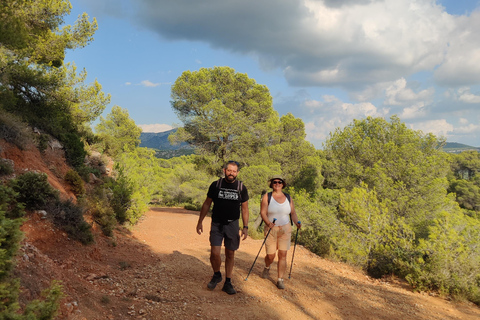 From Tholonet to the Bibémus quarries: Cézanne Hike
