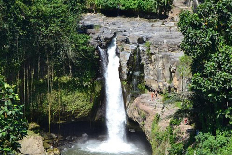 Ubud: 350CC ATV Adventure with Blangsinga Glass Bridge Tour 350CC Tandem ATV Ride + Blangsinga Glass Bridge Tour