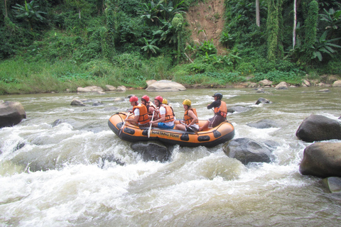 Chiang Mai: Elefanti, cascate e rafting in acque bianche