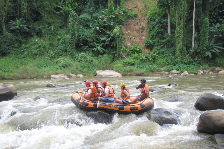 Chiang Mai: Elefanti, cascate e rafting in acque bianche