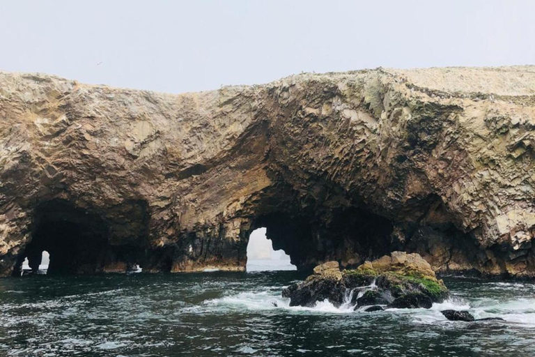 Full day in the Ballestas Islands and the Paracas