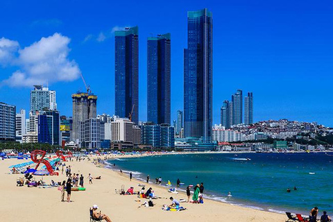 Busan: Gemas Ocultas, Playas y Comida Local Tour PrivadoBusan: Hidden Gems, Beaches and Local Food Private Tour