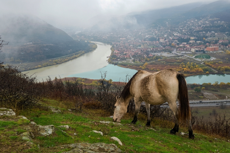 From Tbilisi: Mtskheta & Zedazeni Peak 4x4 Tour with Picnic