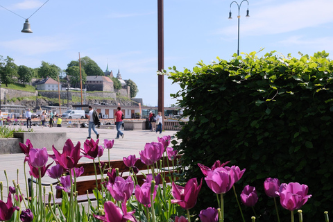 Oslo: Guided Photo Tour with Customizable Itinerary