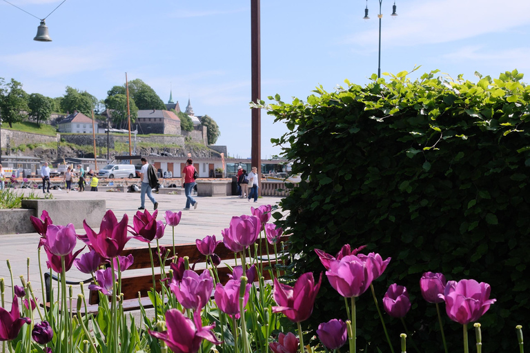 Oslo: Guided Photo Tour with Customizable Itinerary