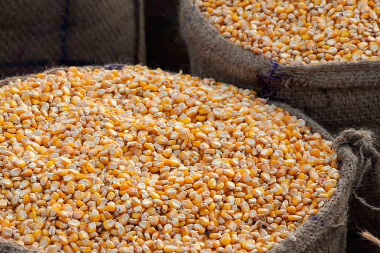 Dublin: Irish Famine Exhibition Entry Ticket