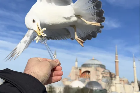 Istambul: City Tour Privado com Transporte