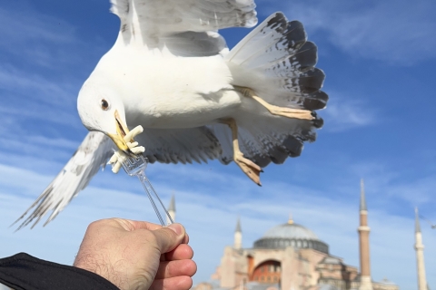 Istanbul Luxe: Privé rondleiding door Istanbul hele dag VIP
