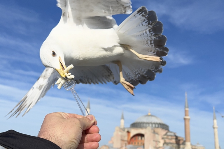 Istanbul Luxury : Private Guided Istanbul Tour Full Day VIP