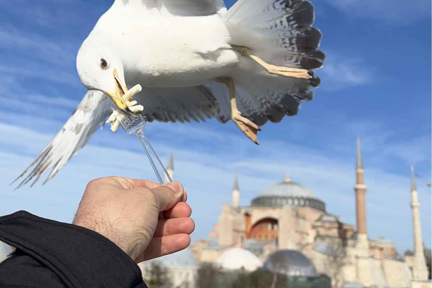 Private Guided Istanbul Luxury Tour (Tickets and Transfers)