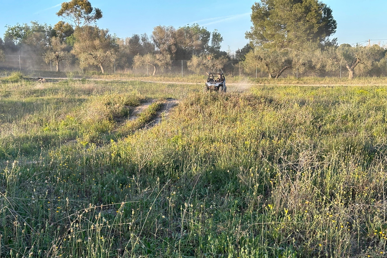 Salou: esperienza di guida di buggy per bambini in un ambiente sicuro