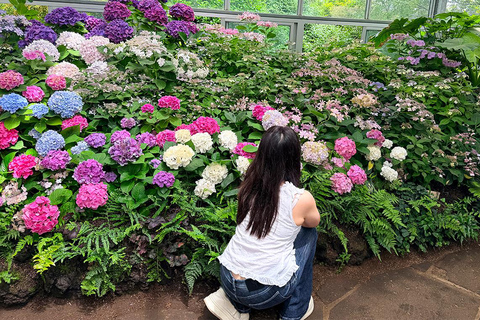 From Seogwipo: Jeju East UNESCO Highlights Join in Tour