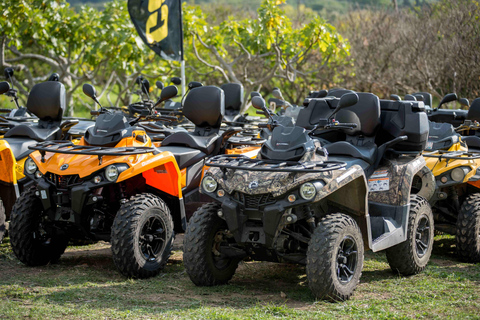 Dubrovnik: Tour guiado en quad por el campo y refrescos en tabernaConductor Solo