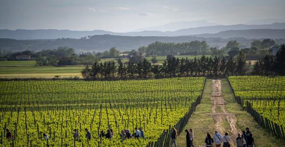 Pals: Wine tasting at Celler Mas Geli