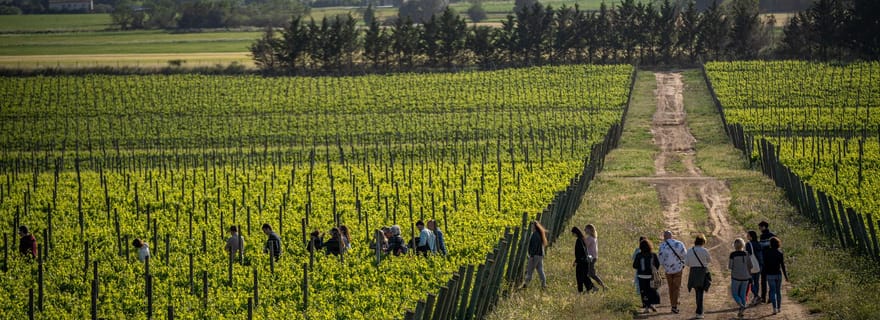 Pals : Visite de la cave Mas Geli avec dégustation de vins